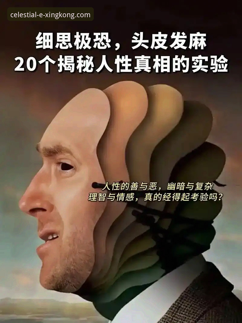 星空中国官方网站下载 揭秘星空中国官网下载背后的技术细节与版本真相